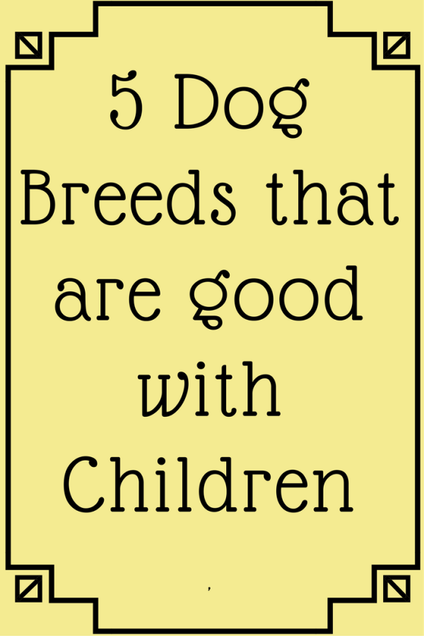 dog breeds good with children