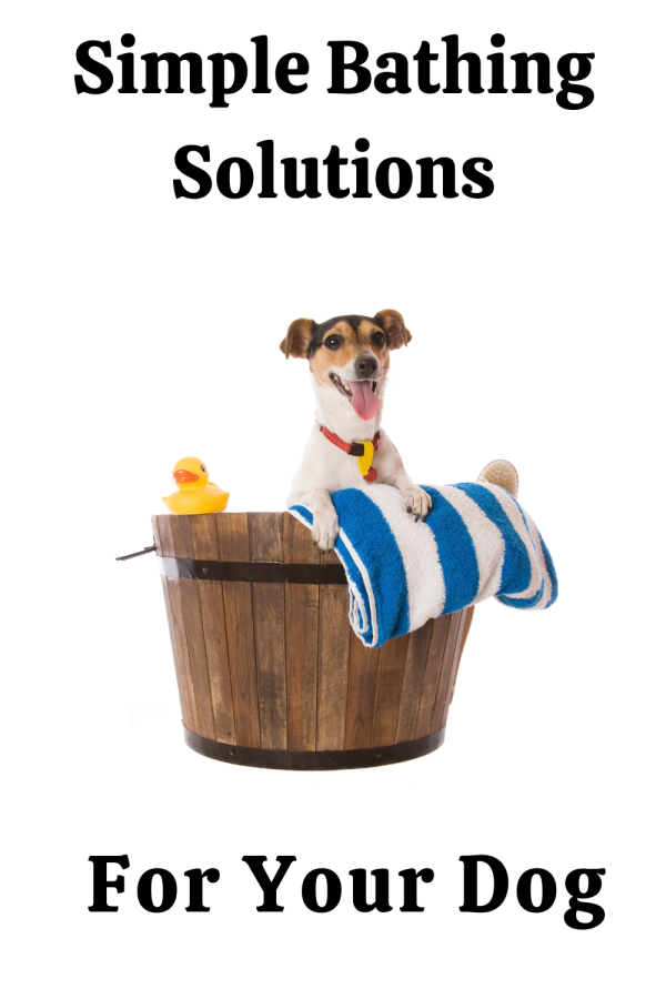 Simple Dog Bathing Solutions