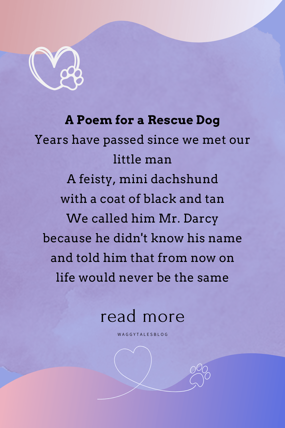 A Poem For A Rescue Dog