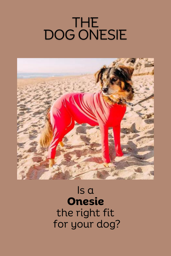 Dog Onesie