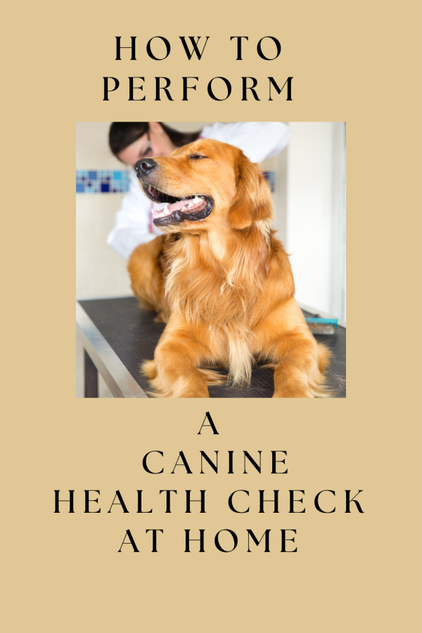Canine health check