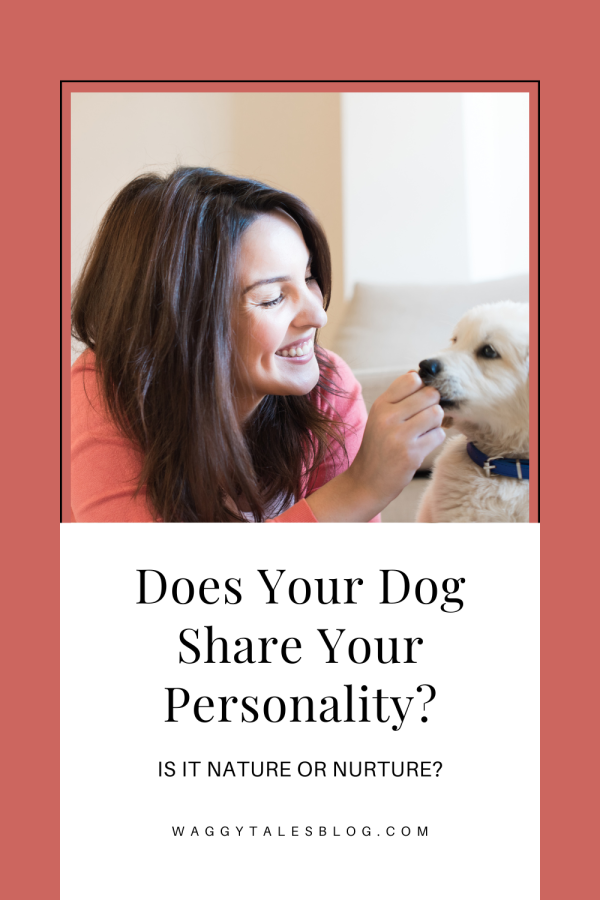 Does Your Dog Share Your Personality?
